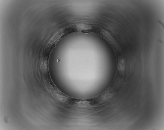 X0000101700426200807101541