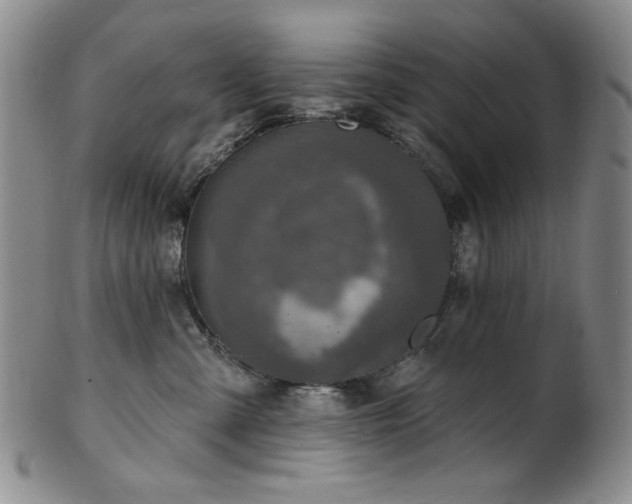 X0000101700427200807101541