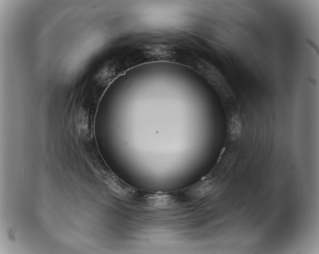 X0000101700428200807101541