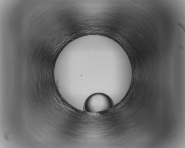 X0000101700429200807101541