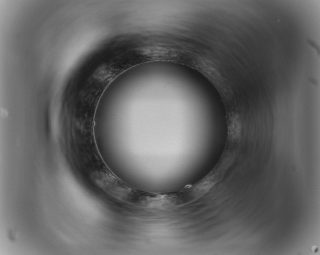 X0000101700430200807101541