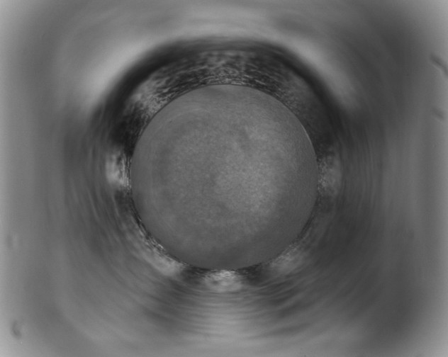 X0000101700431200807101541