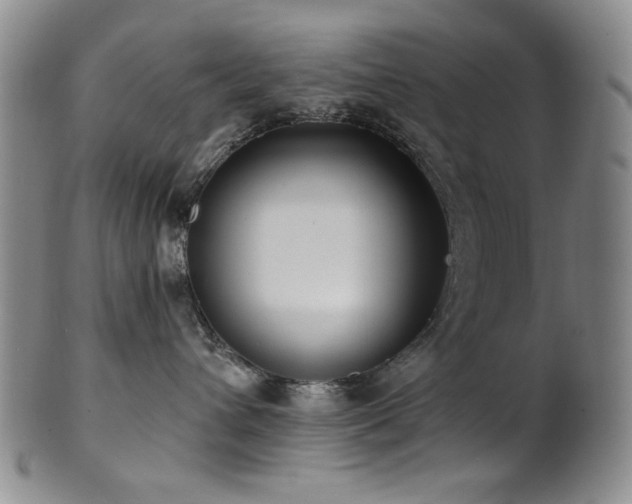 X0000101700432200807101541