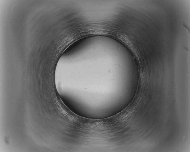 X0000101700433200807101540