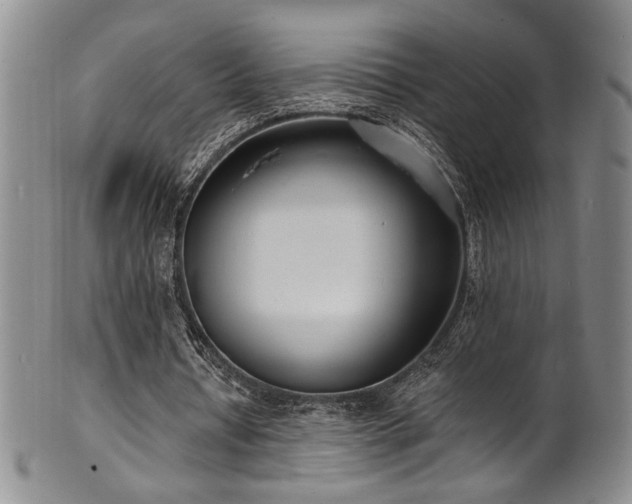 X0000101700434200807101540