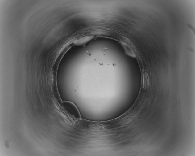 X0000101700435200807101540