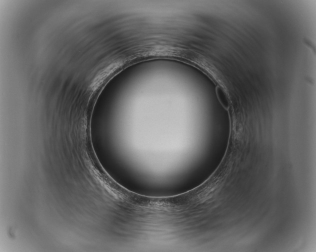 X0000101700437200807101540