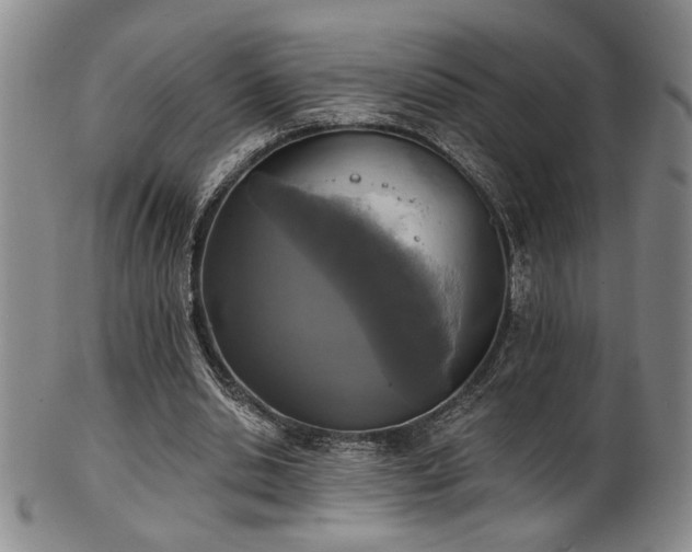 X0000101700438200807101540