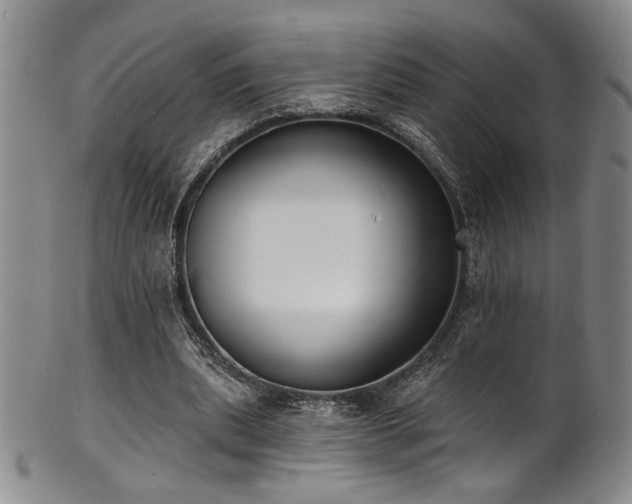 X0000101700439200807101540