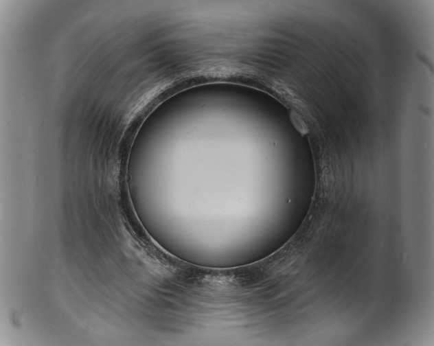 X0000101700440200807101540