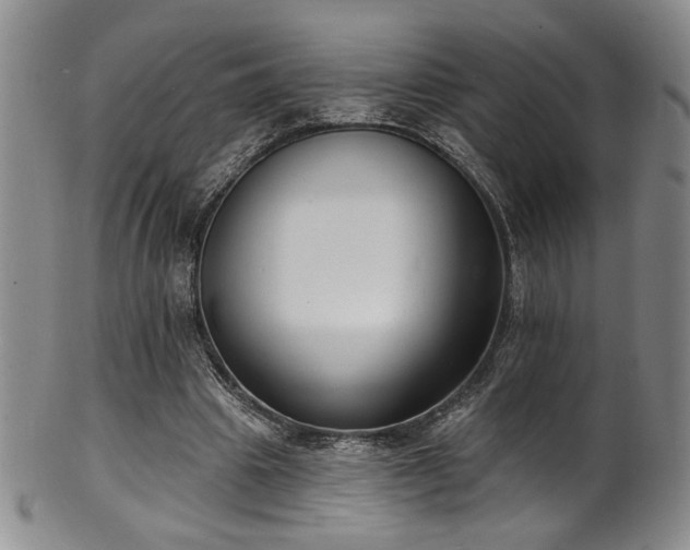 X0000101700441200807101540