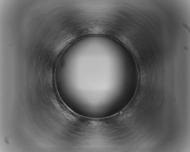 X0000101700442200807101540