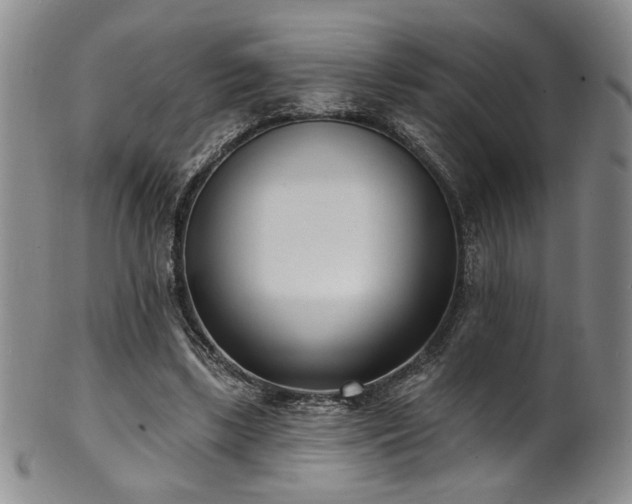 X0000101700443200807101540