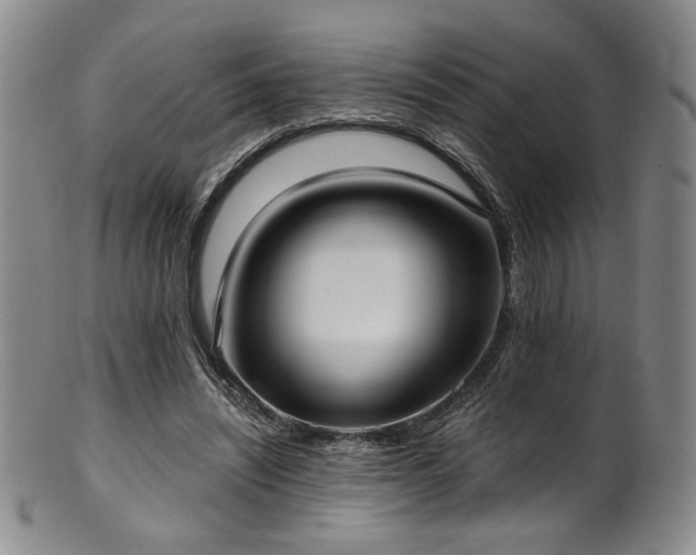 X0000101700444200807101540