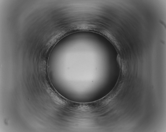 X0000101700445200807101540
