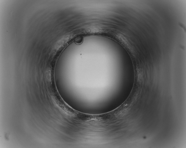 X0000101700447200807101541