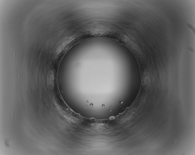X0000101700448200807101541