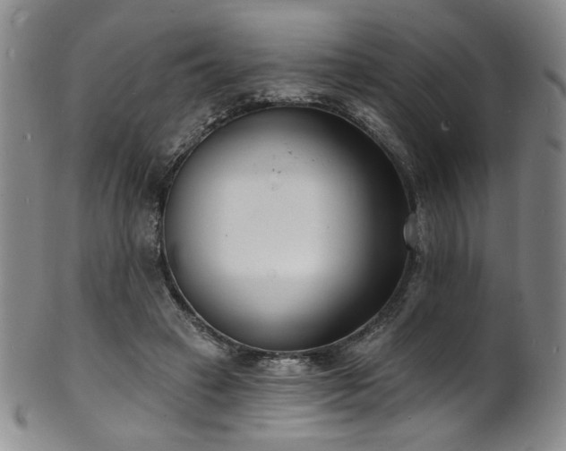 X0000101700449200807101541