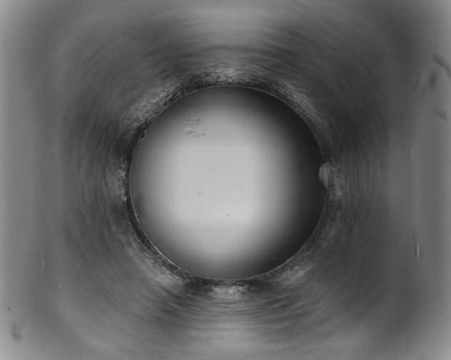 X0000101700450200807101541