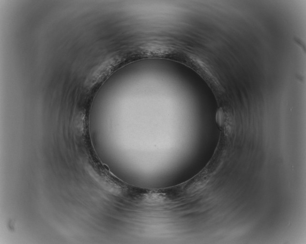 X0000101700451200807101541