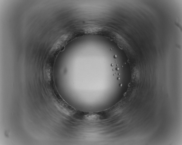 X0000101700452200807101541