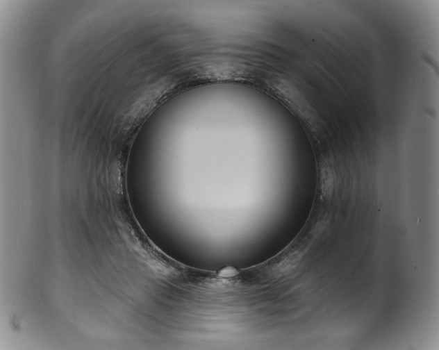 X0000101700453200807101541