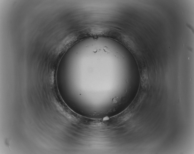 X0000101700454200807101541