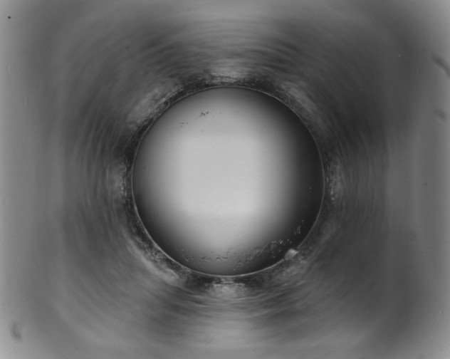 X0000101700455200807101541