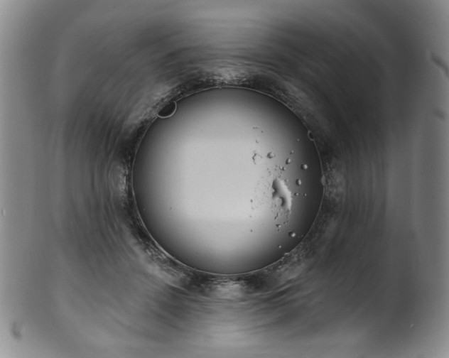 X0000101700456200807101541