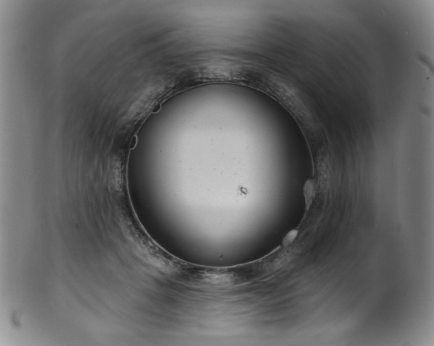 X0000101700457200807101541
