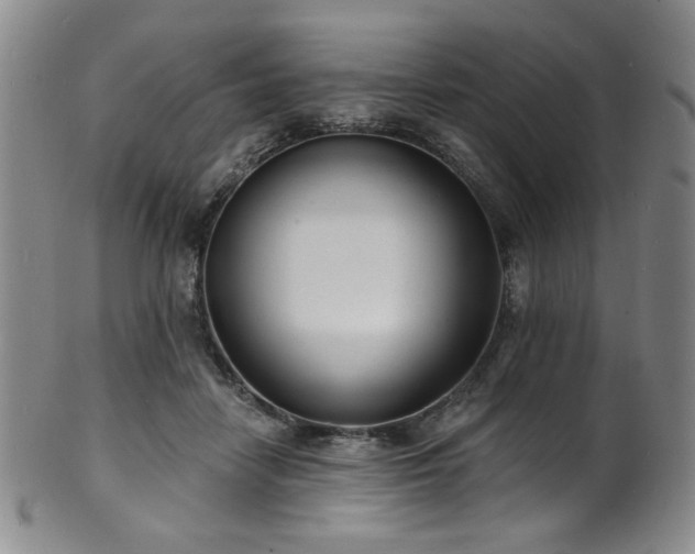 X0000101700458200807101541