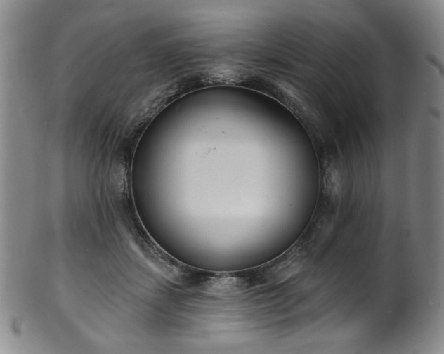 X0000101700459200807101541