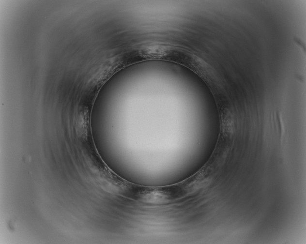 X0000101700460200807101541