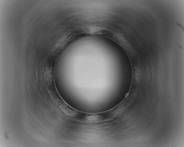 X0000101700461200807101541