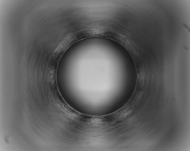 X0000101700462200807101541