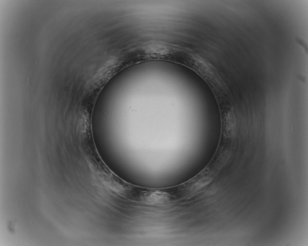 X0000101700463200807101541