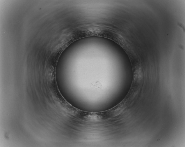 X0000101700464200807101541