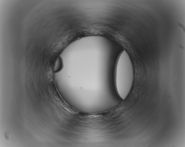 X0000101700465200807101541