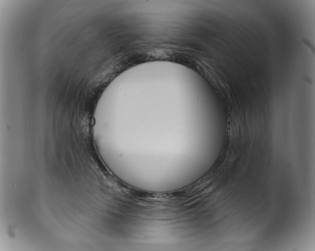 X0000101700466200807101541