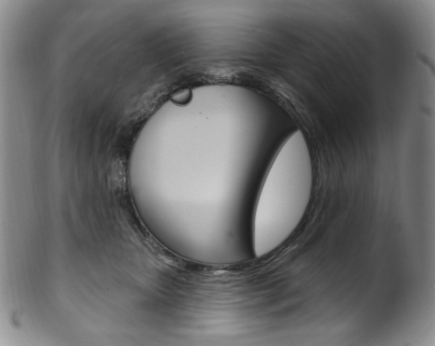X0000101700467200807101541