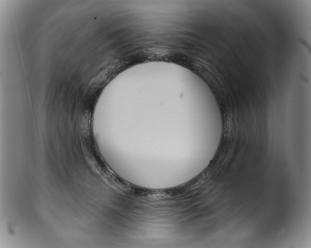 X0000101700468200807101541