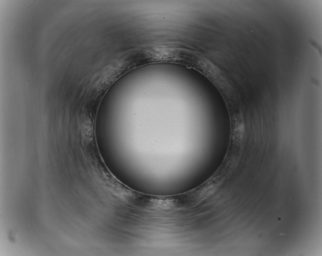X0000101700469200807101541