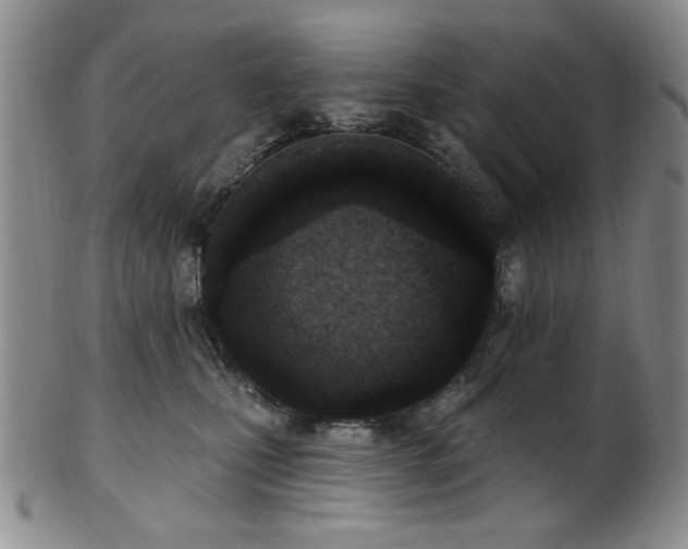 X0000101700471200807101541
