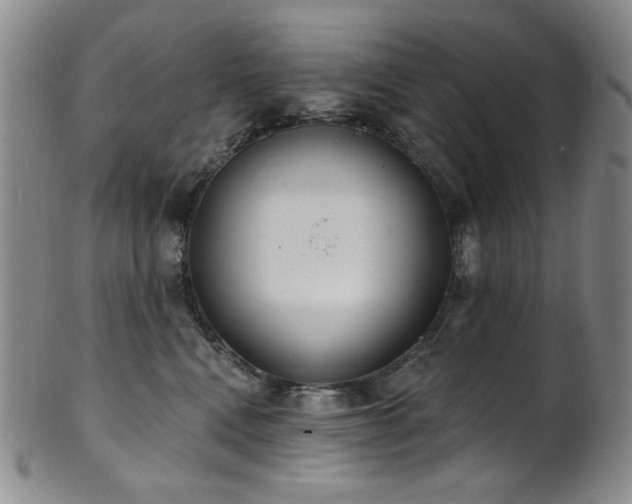 X0000101700472200807101541