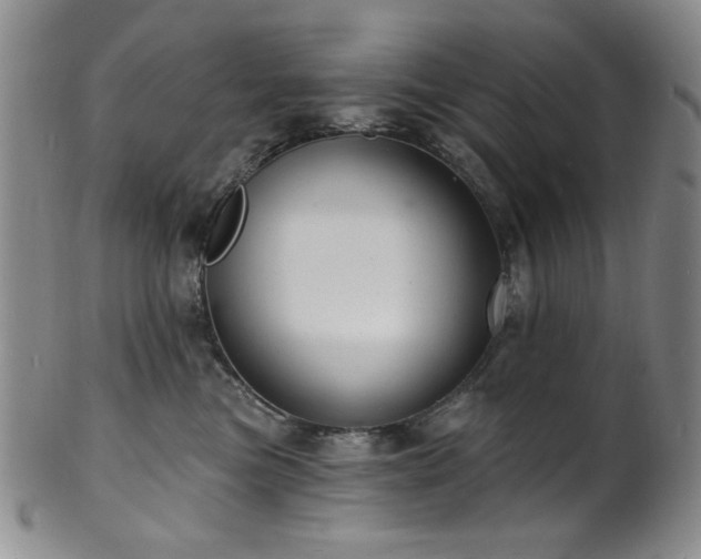 X0000101700473200807101541
