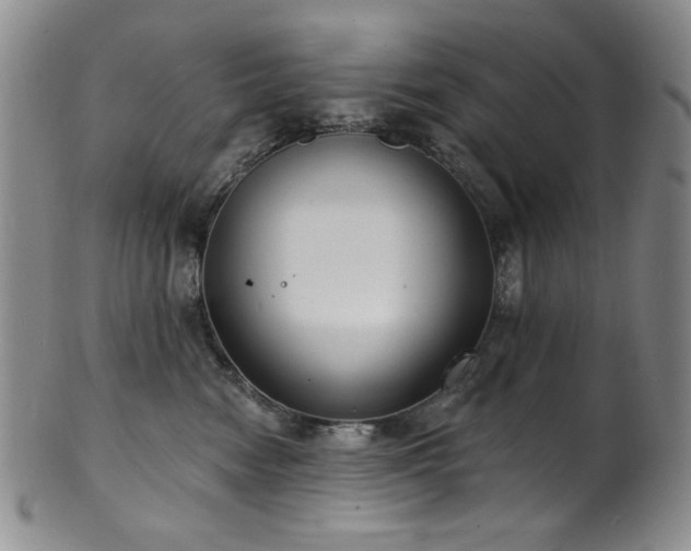 X0000101700474200807101541