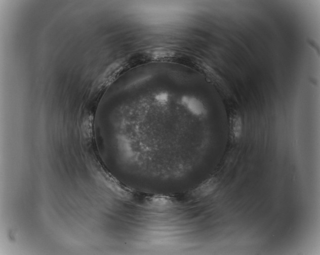 X0000101700475200807101541