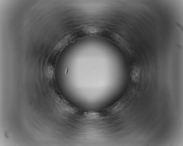 X0000101700476200807101541