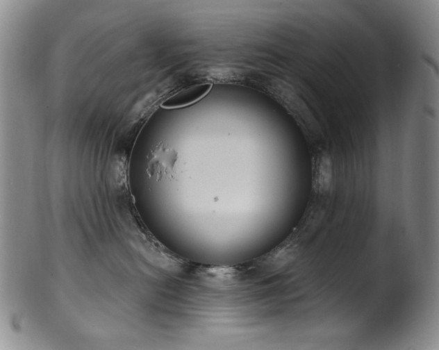 X0000101700478200807101541