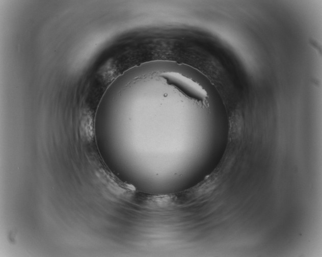 X0000101700479200807101541